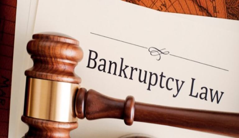 Bankruptcy-law-insolvency